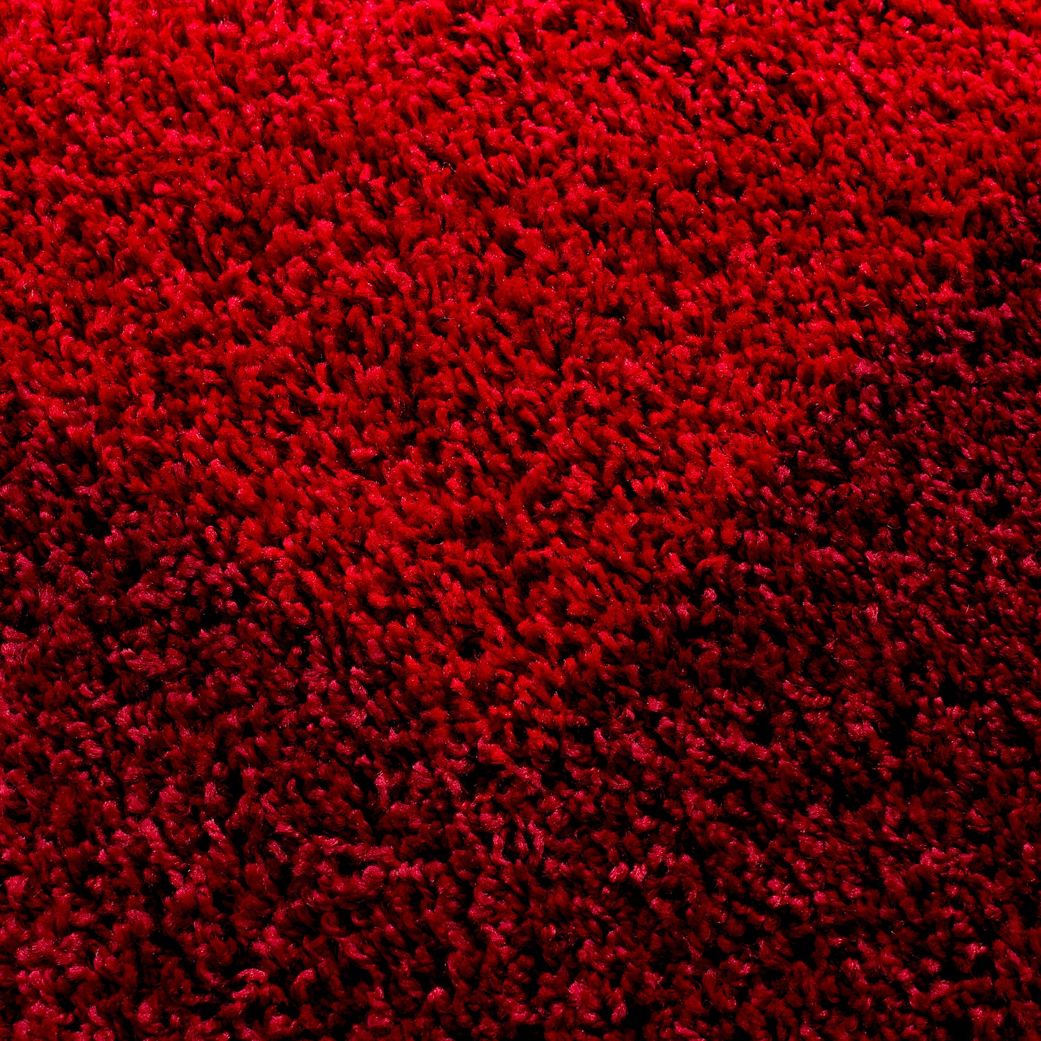 Shaggy Teppich Hochflor Langflor Wohnzimmer Teppich Gemustert in Bordüre Design