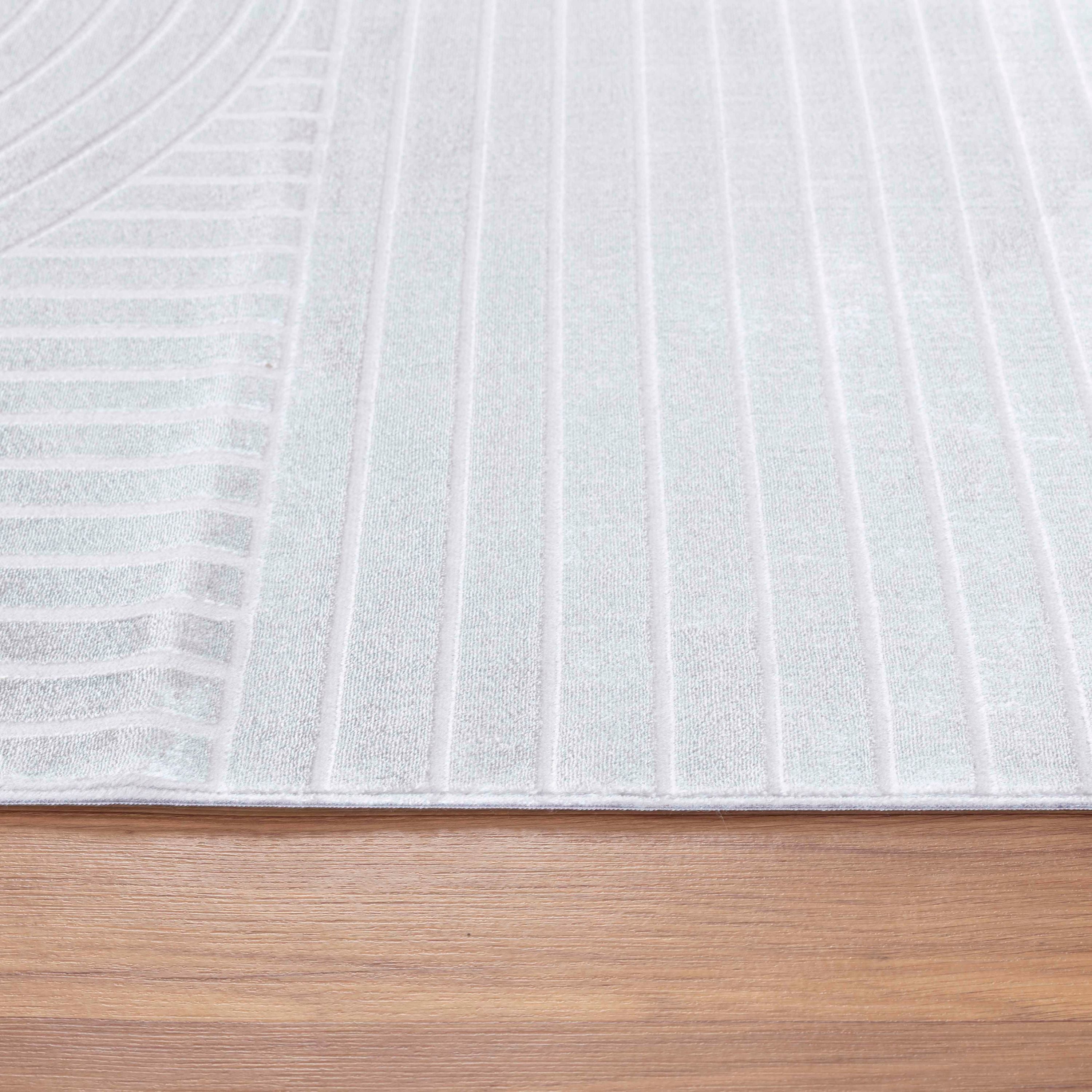 Modern Designer Living Room Rug Thin Plain Boho Style Washable